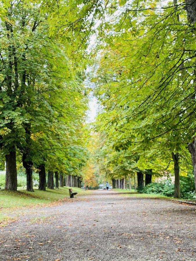 Ferienwohnung Micha'S Stadtblick ناومبورغ المظهر الخارجي الصورة