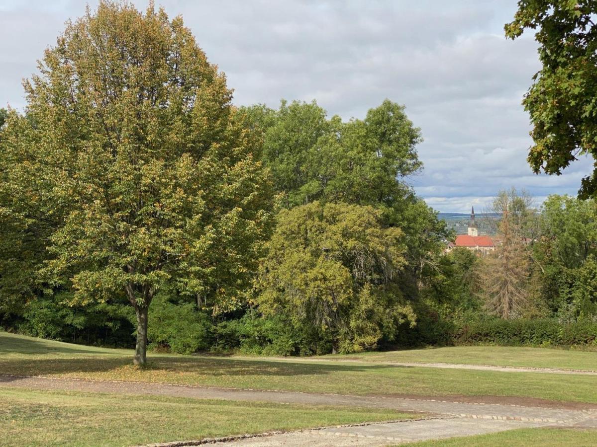 Ferienwohnung Micha'S Stadtblick ناومبورغ المظهر الخارجي الصورة